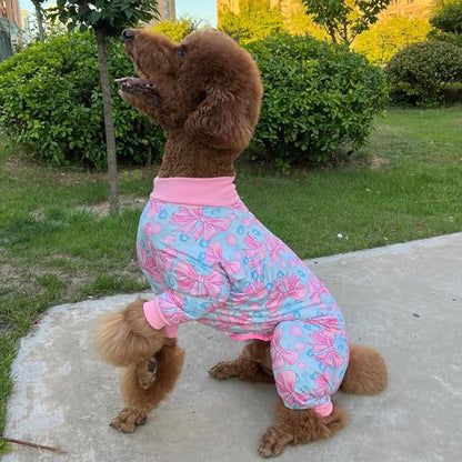 Xqpetlihai Dog Onesie Surgery Recovery Suit for Medium Large Dogs Recovery Shirt for Abdominal Wounds or Skin Diseases Bodysuit Dogs Pajamas(B,XS)