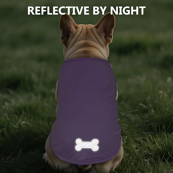 KYEESE 2Pack Dog Shirt, Lightweight Sun Protection Dog T Shirts for Small Dogs Boy Girl, Breathable Mesh Tank Top Sleeveless Puppy Reflective Vest, Soft Summer Dogs Clothes, Dinosaur+Purple, S
