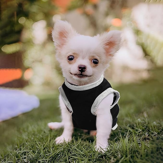 4 Pieces Dog Clothes for Small Dogs Girl Boy Summer Puppy Clothes for Chihuahua Yorkie Soft Cute Pattern Dog Shirt Spring Pet Cat Clothing Pink Rose Red Green XXS~M (Grey,Red,Black,Green, Medium)