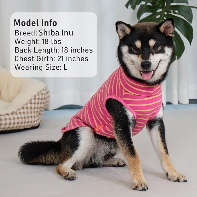 KYEESE 2Pack Dog Sweater Soft Dogs Clothes Stretchy Pet Sweatshirt Dog Sweaters for Small Dogs Girl Turtleneck Pet Coats Pullover Small Pets Sweaters