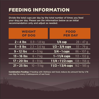 Wellness CORE Small Breed Adult Dry Dog Food, Grain Free Kibble, Natural, High Protein, Turkey and Chicken Recipe, 12 lb Bag