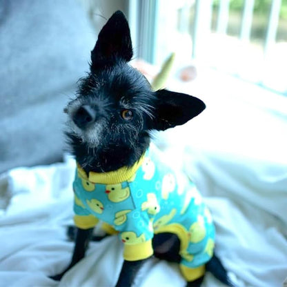KYEESE Dog Pajamas Velvet Dog Pajamas Small Sized Dogs Dogs Pjs with Yellow Ducks Pattern Soft Doggie Jammies Stretchy Doggie Clothes Puppy Onesie Comfy Pet Coat Pet Costume, X-Small