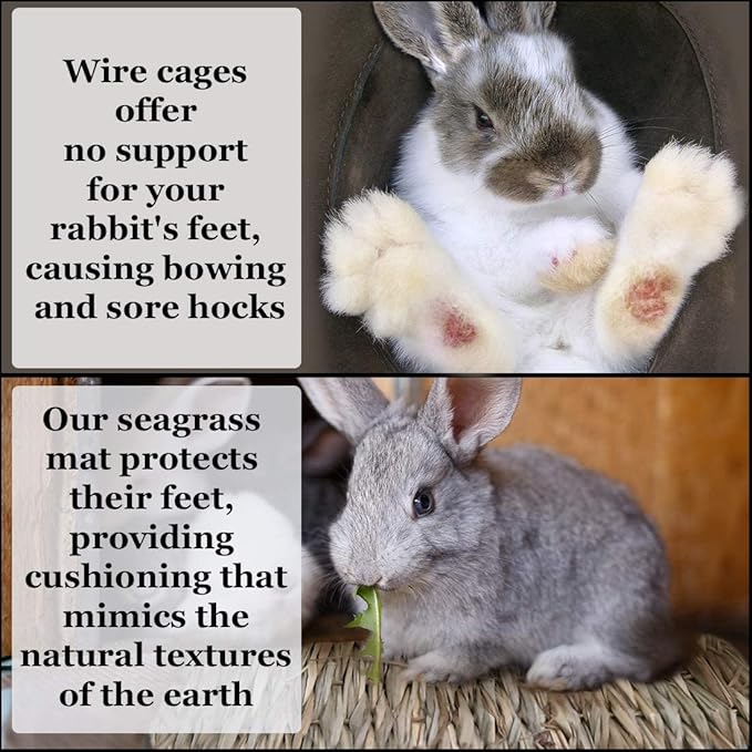 SunGrow Rabbit Grass Mat, Bunny Cage Accessories, Rabbit Stuff and Supplies, Handmade, Edible Accessory Chew, Keep in Cage or on Floor, 1 pc