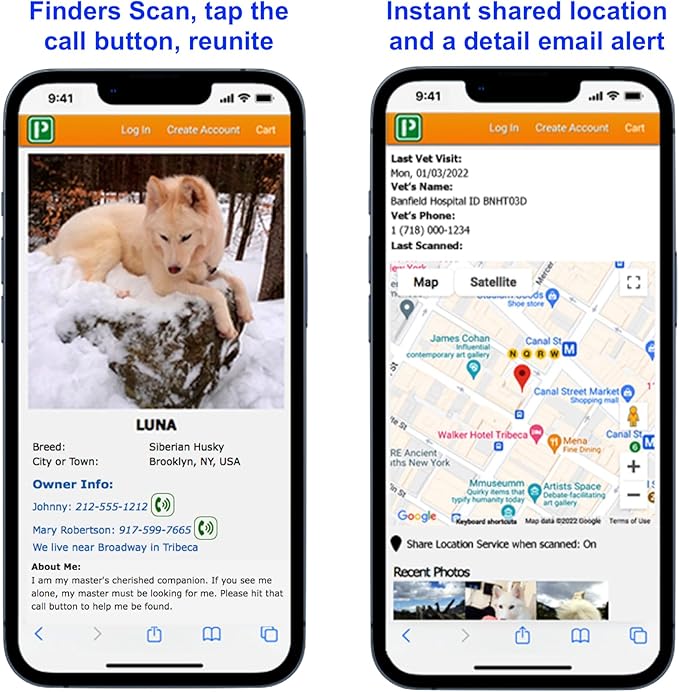 Pet Dwelling QR Code Pet ID Tag – Smart Dog & Cat ID Tags for Pet Safety, Free Personalized Online Profile, Instant Scan Alerts, AI Insights (Lux Gold Black Paw)