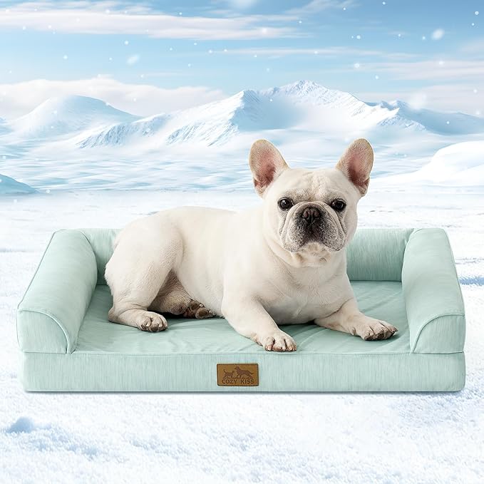 Cooling Dog Bed, Orthopedic Foam Dog Bed with Sides, Removable Washable Cover & Waterproof Lining and Nonskid Bottom, Comfortable Pet Beds for Small Dogs, Green (30" L x 20" W x 6" Th)
