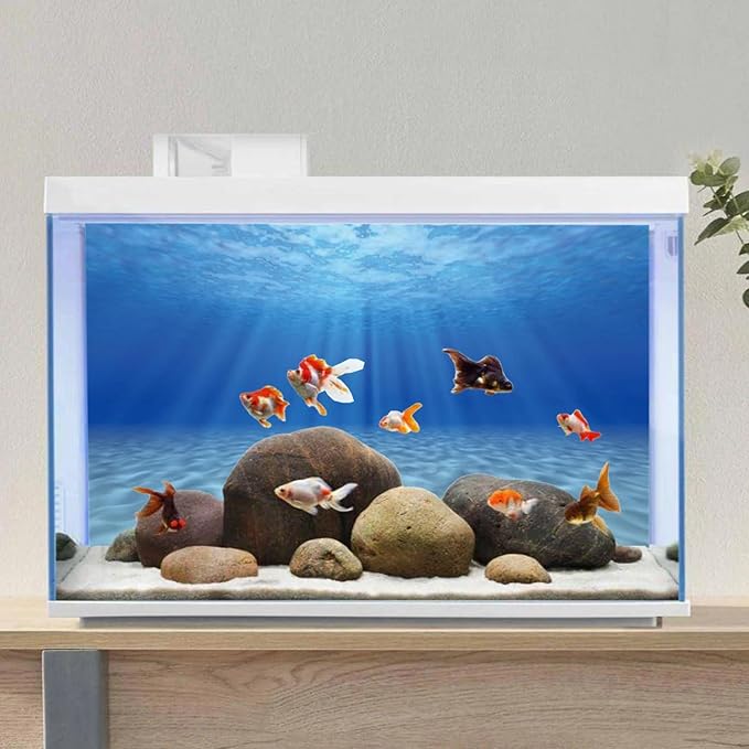 AWERT Undersea Theme Aquarium Background Sunshine Underwater World Fish Tank Background 30x18 inches