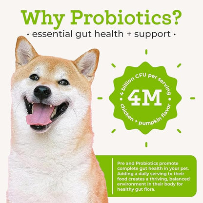 Dr. Joseph's VetPro Complete Advanced Pre & Probiotics Powder for Dogs, 90 Scoops, Supports Gut Health, Diarrhea, Digestive Health & Seasonal Allergies, Chicken/Pumpkin Flavor, Add to Food