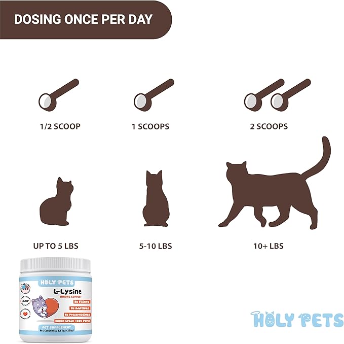 100% Pure L-Lysine Powder for Cats – No Flavors, No Fillers or Preservatives – 1,000mg per Scoop – Immune, Respiratory & Eye Support – Helps with Sneezing, Runny Nose & Cold Symptoms