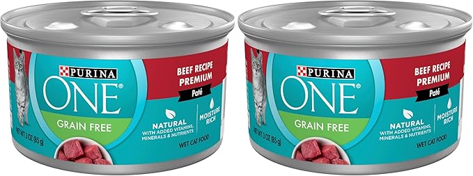 Purina ONE Natural, High Protein, Grain Free Wet Cat Food Pate, Beef Recipe - (Pack of 48) 3 oz. Pull-Top Cans