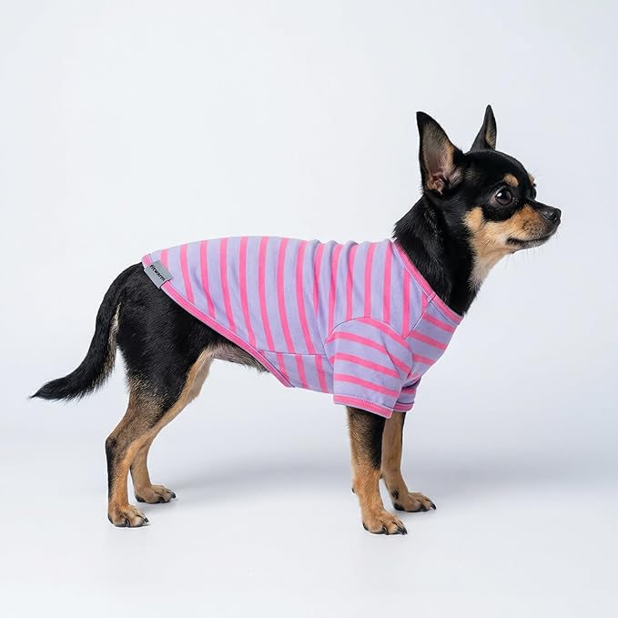 Fitwarm 3 Pack Color Block Striped Dog Shirt, Summer Dog Clothes for Small Dogs, Breathable Lightweight Dog Tshirt, Pet Outfit, Pink, Orange, Purple, XL