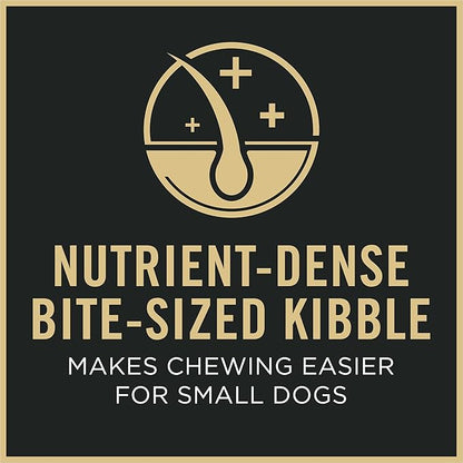 Purina Pro Plan Small Breed 7 Plus Shredded Blend Chicken and Rice Formula Senior Dog Food, 6 lb Bag, High Protein, Supports Joint Health