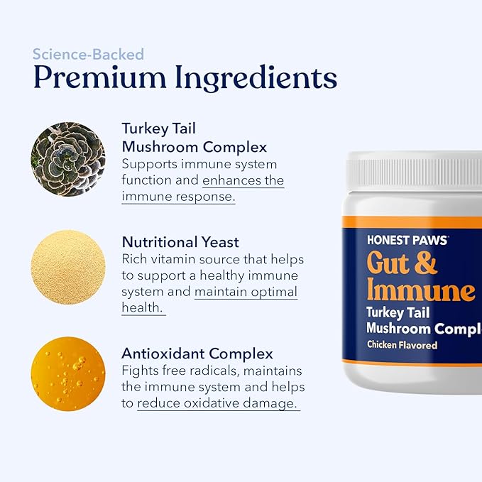 Honest Paws Turkey Tail Mushroom for Dogs - Digestive and Immune Support - Shiitake, Reishi, Maitake Mushroom Supplement Powder for Dogs - No Filler, No Additives - (30 Scoops)