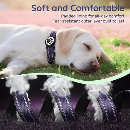 Airtag Dog Collar, Reflective Ultra-Durable Nylon Padded with QR Buckle & IP68 Waterproof Air Tag Holder Compatible for Apple AirTag, Comfortable for Small Medium Large Dogs (Purple, XS)