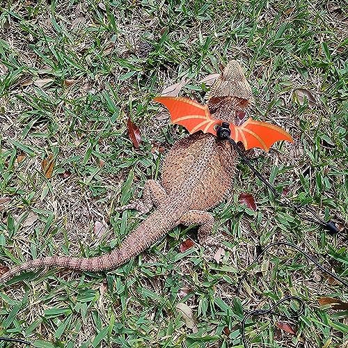 ADOGGYGO Orange Bearded Dragon Leash Harness, 3 Size Pack, Cool Bat Wing