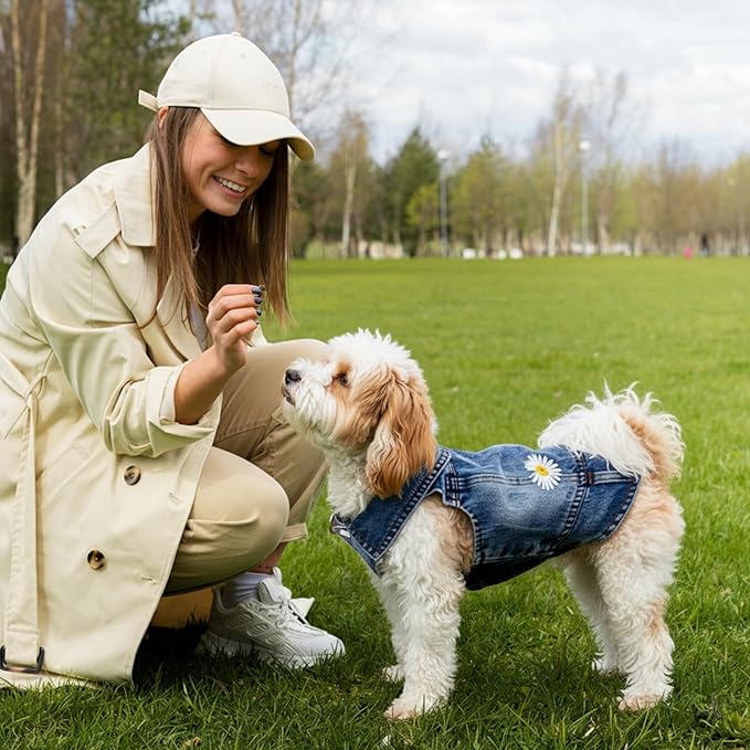 Pawstrip Dog Denim Jacket with Embroidered Daisy, Ripped Vintage Jean Vest for Small Dogs, Puppy, Pugs, Chihuahuas, Spring Summer Fall Festival Outfit, Medium (Fits Chest 13-14")