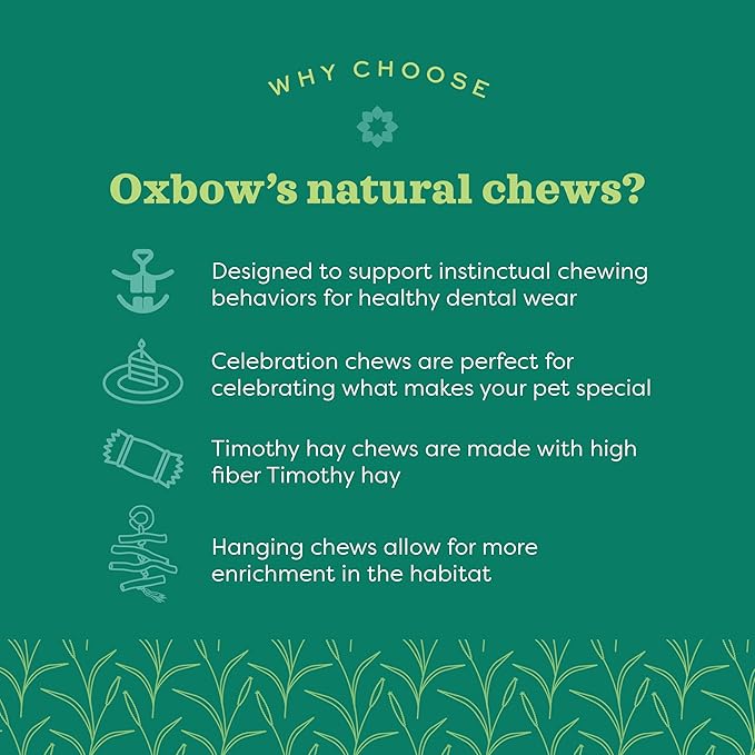 Oxbow Timothy Hay Mat – Edible Habitat Accessory for Rabbits, Guinea Pigs, Chinchillas & Rats – Hand-Woven Natural Mat and Chew, Cage Enrichment for Dental Health, Comfort & Instinctual Play, Large