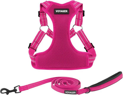 Best Pet Supplies Voyager Adjustable Step-in Flex Breathable Mesh Dog Harness for Small Medium Large Dogs Leash Set (Fuchsia), M