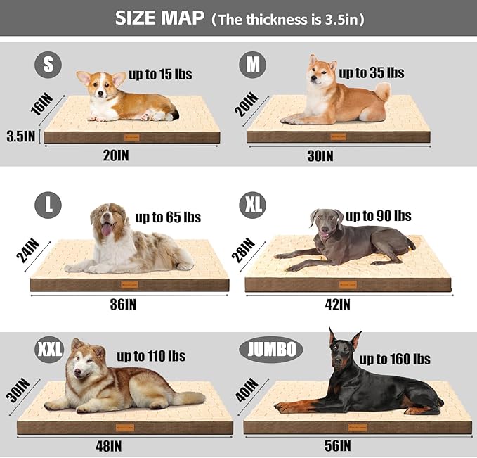 Patas Lague Orthopedic Dog Bed Large Sized Dog 36''X24'', Waterproof Soft Comfortable Egg Crate Foam Large Pet Beds Crate Mat with Removable Washable Cover and Nonskid Bottom, Brown