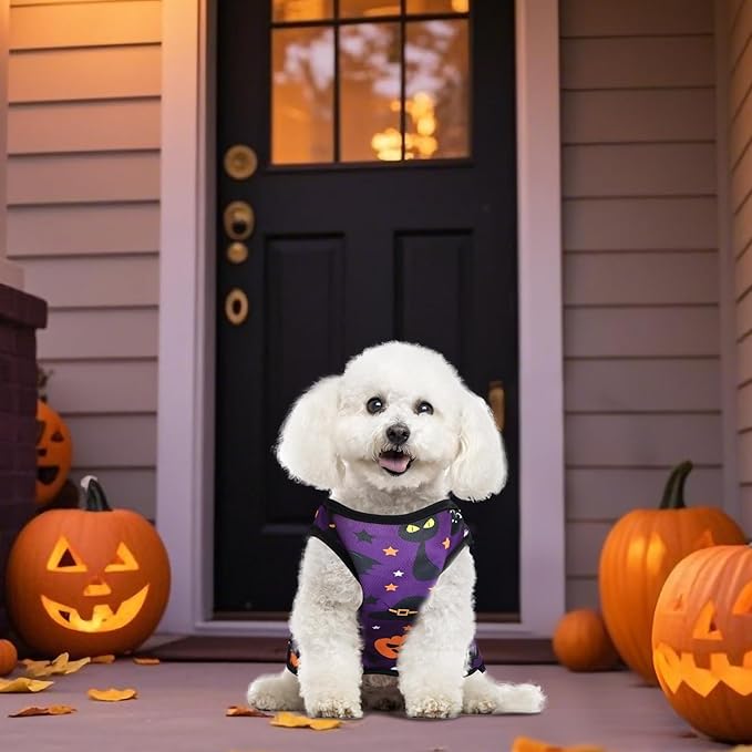 6 Pack Halloween Dog Clothes for Small Dogs, Soft and Breathable Puppy Kitten Dog Shirts for Pet Cats, Dogs' T-Shirts Apparel Sleeveless Vests for Yorkies (Happy Halloween, Large)