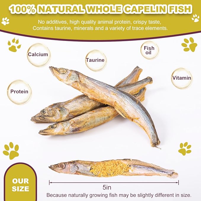 Dylan's cabin Freeze Dried Capelin Fish - Single Ingredient Cat and Dog Treats Natural Animal Protein Healthy Tasty Snacks for Training (85g)