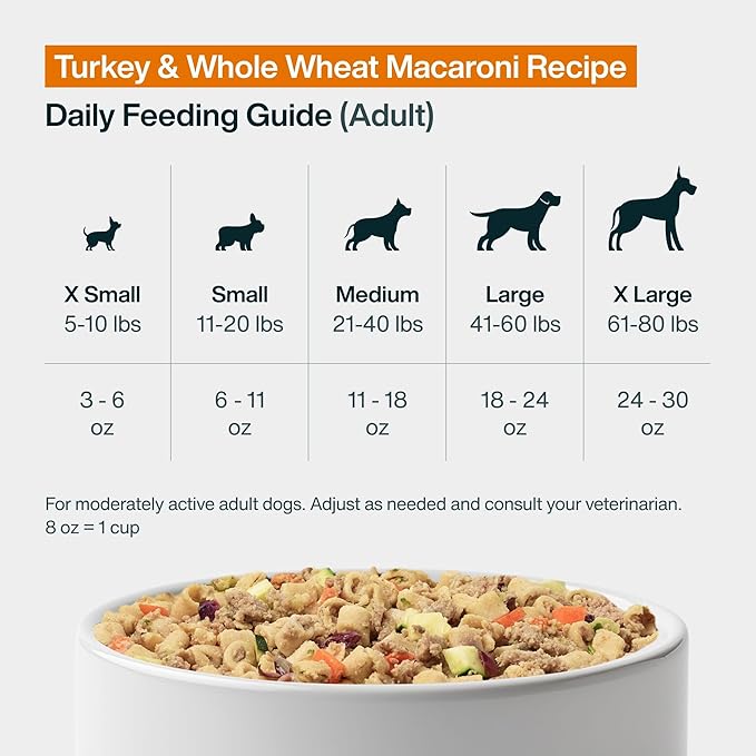 JustFoodForDogs Pantry Fresh Wet Dog Food Complete Meal or Dog Food Topper, Turkey & Whole Wheat Macaroni Human Grade Dog Food Recipe - 12.5 oz (Pack of 12)