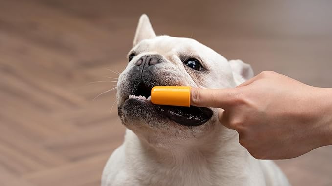 Arm & Hammer Complete Care Dog Dental Kit with Two Flavors: Chicken & Peanut Butter Enzymatic Dog Toothpaste, Toothbrush, & Finger Brush, Baking Soda + Calcium, 2.5oz Each