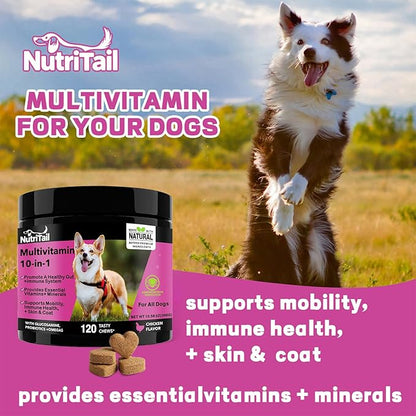 NutriTrail Multivitamin for Dogs – 10-in-1 Soft Chews with Glucosamine, Probiotics, Omega-3, Vitamins & Minerals – Supports Hip & Joint, Digestion, Skin & Coat, and Immune Health – Chicken, 120 Ct
