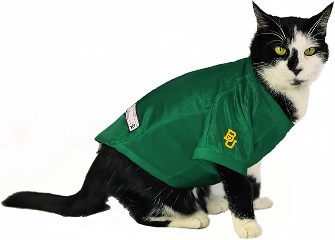 Littlearth NCAA Arizona Wildcats Stretch Pet Jersey, Team Color, Medium