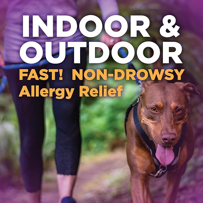 Amazon Basic Care All Day Allergy Relief, Fexofenadine Hydrochloride Tablets, 180 mg, Antihistamine, Non-Drowsy, 24-Hour Relief, Indoor & Outdoor Allergy, 30 Count