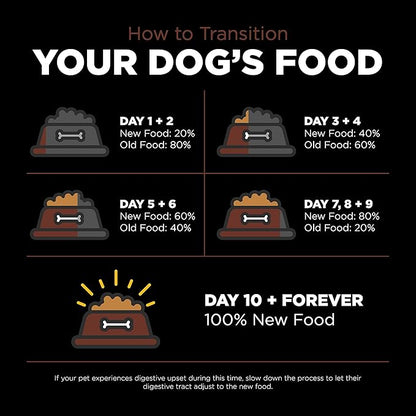 Go! Solutions Skin + Coat Care Salmon Large Breed Dry Puppy Food with Grains, Chicken-Free, Healthy Kibble for Growing Dogs, Omega-3s & 6s for Soft, Shiny Fur, 25 lb Bag