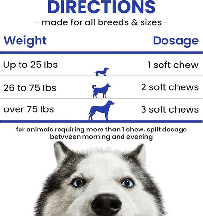 Dog Allergy Immune Chews – Itch Relief for Hot Spots, Dry Skin, Seasonal Allergies – with Fish Oil, Colostrum & Probiotic – 180ct Supplement