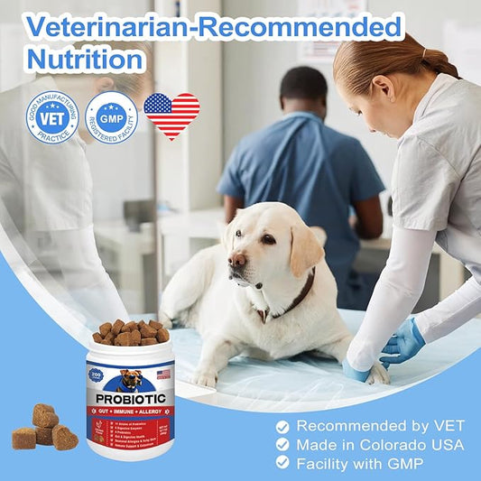 Probiotics for Dogs 200 Chews - Dog Probiotics with 6 Digestive Enzymes,4 Prebiotics,11 Billion CFUs, Colostrum - for Gut Gas Health, Yeast Balance, Skin & Coat, Seasonal Allergies Immune Support