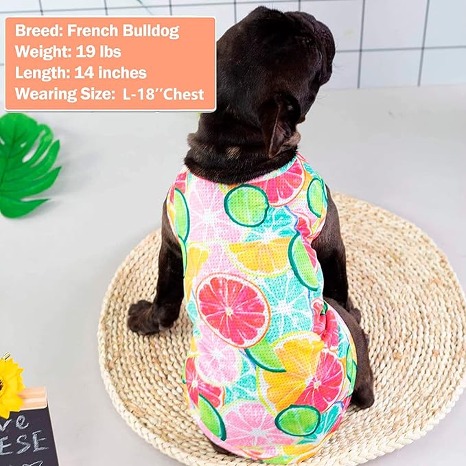 KYEESE 2Pack Dog Shirt, Lightweight Sun Protection Dog T Shirts for Medium Large Dogs Girl, Breathable Mesh Tank Top Sleeveless Pet Reflective Vest, Soft Summer Dogs Clothes, Lemon+Pink, 2XL