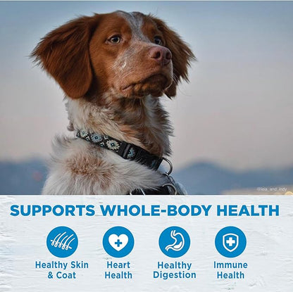Wellness Simple Limited Ingredient Healthy Weight Adult Dry Dog Food, Grain Free Kibble, Sensitive Stomach, Skin & Coat Support, Natural, Chicken Free, Salmon and Peas Recipe, 24 lb Bag