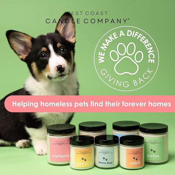 Pet Safe Wax Melts for Dogs | Non Toxic Soy Wax Melts | Natural, Paraffin-Free, Clean Burning | Odor Eliminating Wax Cubes | Lavender