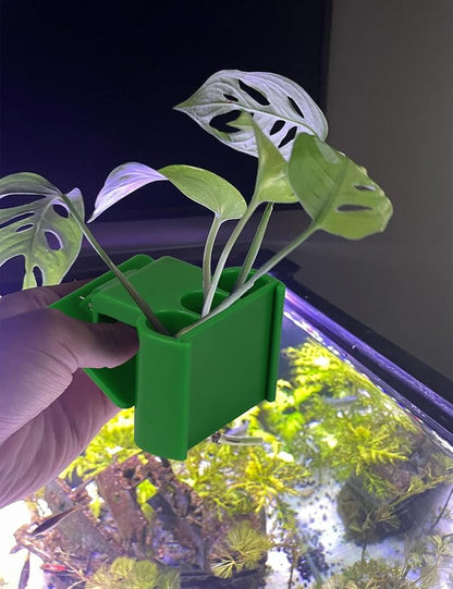 2 Pk Upgraded Aquarium Plant Holder, 3-Hole Hanging Holder with Clip, Suitable for Fish Tank Decoration, Green