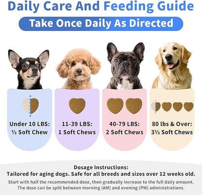 Senior Advanced Joint Supplement for Dogs – 17-in-1 Glucosamine for Dogs with Chondroitin – Hip & Joint Pain Relief Pills – Mobility Support Chews – Large & Small Breeds - Beef Flavor – 90Ct