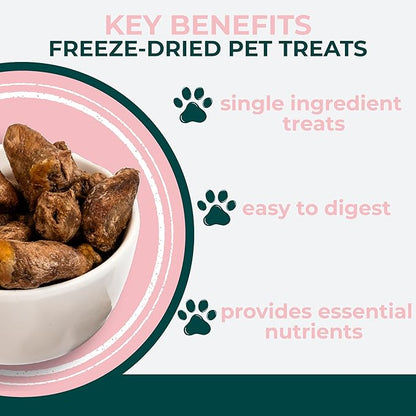 Momentum Carnivore Nutrition Freeze-Dried Chicken Heart Cat Treats – Single-Ingredient, High-Protein, All-Natural, Grain-Free, Naturally Nutrient-Rich – Made in USA – 1.9 oz Bag