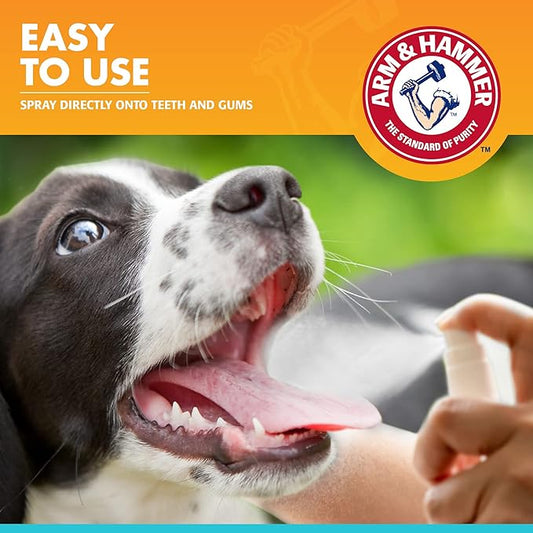 Arm & Hammer for Pets Dog Oral Care Spray, Mint Flavor Breath Freshener & Teeth Cleaning, Baking Soda Enhanced Plaque & Tartar Support, Easy Brushless Dental Care for Adult Dogs, 4 Fl Oz - 24 Pack