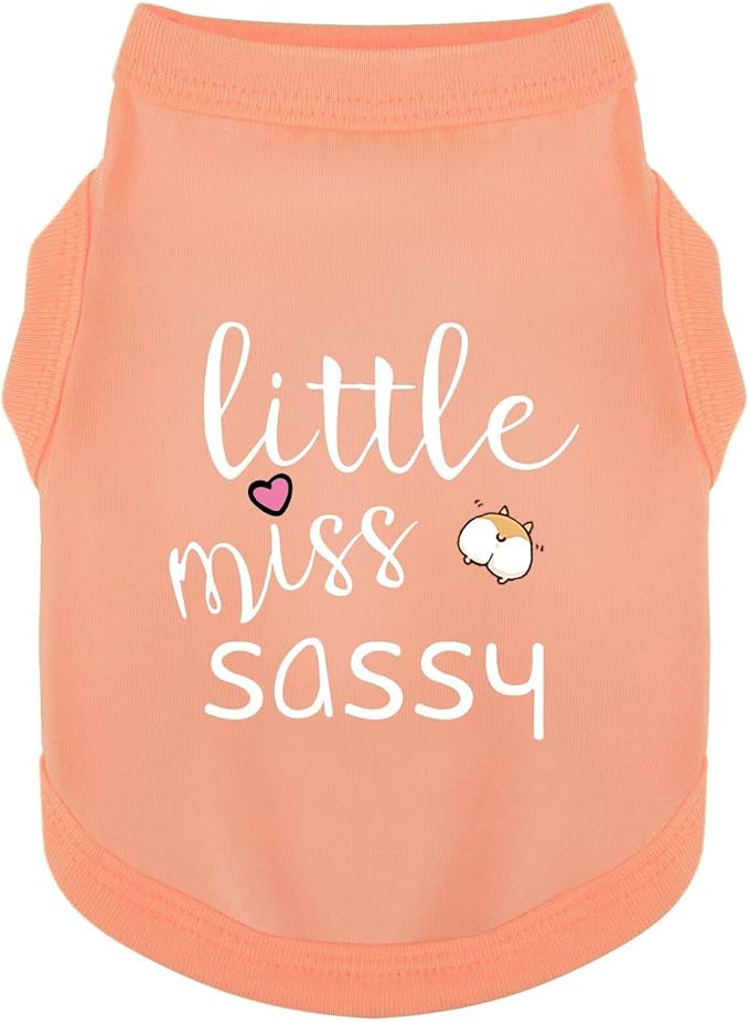 Paiaite Dog Clothes Fashionable Sleeveless Pet Vest: 'Little Miss Sassy' Printed Cotton Dog Shirt, Ideal for Small, Medium, and Large Breeds, Ensuring Comfort and Breathability Orange Pink 3XL