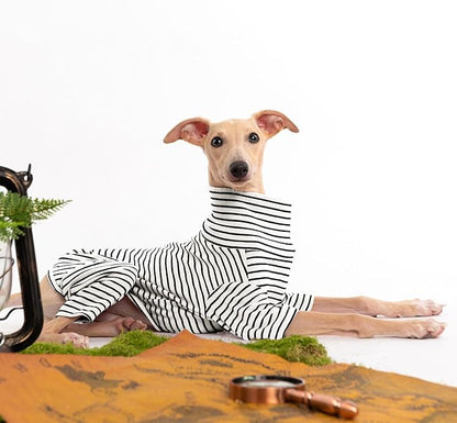 Dog Sweaters for Small Dogs Girls Boys, Striped Pet Sweaters for Fall Winter Dog Clothes, Turtleneck Pullover Knitwear for Small Medium Large Dogs
