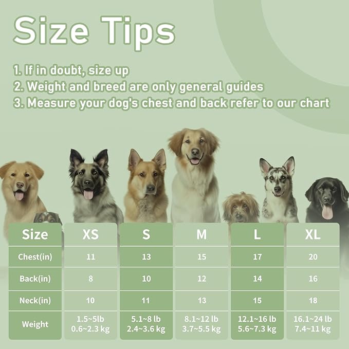 Dog Clothes, Stripe Dogs Shirts for Small & Medium Breeds, Pet Tank Top, Breathable Waffle Fabric Puppy Outfit, Shirt for Chihuahua, Yorkie, Dachshund, Corgi (Green, XSmall)