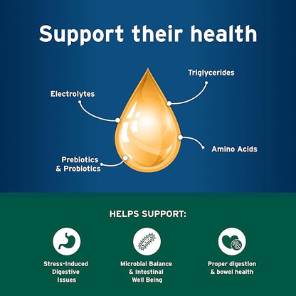 Pet Protect Dog Probiotic Balance+ Oral Gel, Vet-Formulated Endurosyn, Prebiotics & Probiotics for Dogs, 3-Day Supply, Chicken Flavor (32g)