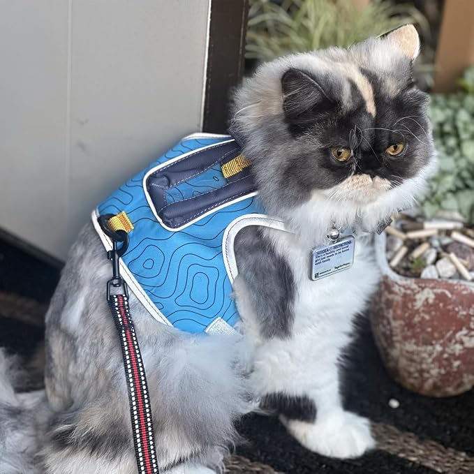 Travel CAT The Pathfinder Cat Harness with GPS Tracker Pocket - Powered by Tractive Cat Harness Escape Proof - Walking Escape Proof Harness for Small, Large Cat, Kitten (Blue, Large)