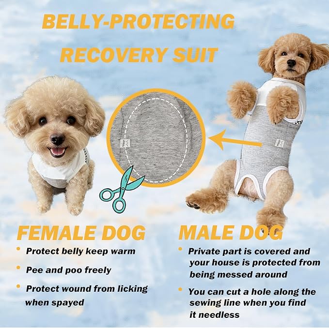 Kukaster Pet Dog Surgical Suit - Recovery Onesie for Dogs After Surgery, Spayed Female/Male Puppy, Breathable Anti-Lick Clothes, Alternative to Cone(Grey and White-l)