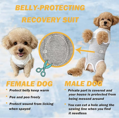 Kukaster Pet Dog Surgical Suit - Recovery Onesie for Dogs After Surgery, Spayed Female/Male Puppy, Breathable Anti-Lick Clothes, Alternative to Cone(Grey and White-xs)