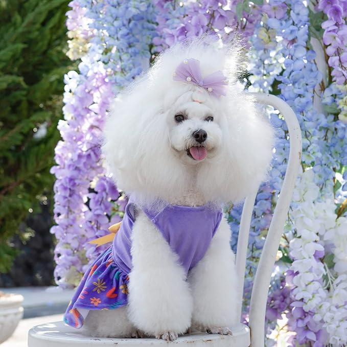 CuteBone Easter Dog Dress Velvet for Small Dogs Girl Flower Skirt Puppy Dresses Purple Dog Clothes CVA16S-D