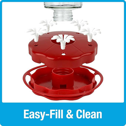 Nature's Way Hanging Glass Hummingbird Feeder for Outdoor Décor, 20 Ounce Capacity Nectar Feeder, Ant Moat, 5 Easy to Clean Flexible Ports, Red