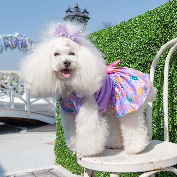 CuteBone White Rabbit Dog Easter Dress Velvet for Small Dogs Girl Eggs Skirt Puppy Purple Dresses Dog Clothes CVA19XXS-D
