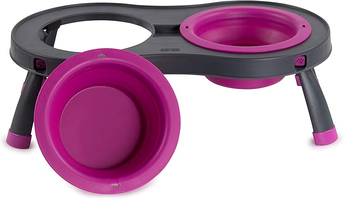 Dexas Pets Double Elevated Pet Feeder, Fuchsia, Small/1 Cup Capacity Bowls (PW1004322405)